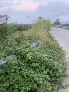 Stato di abbandono delle strade (Calabria) 1