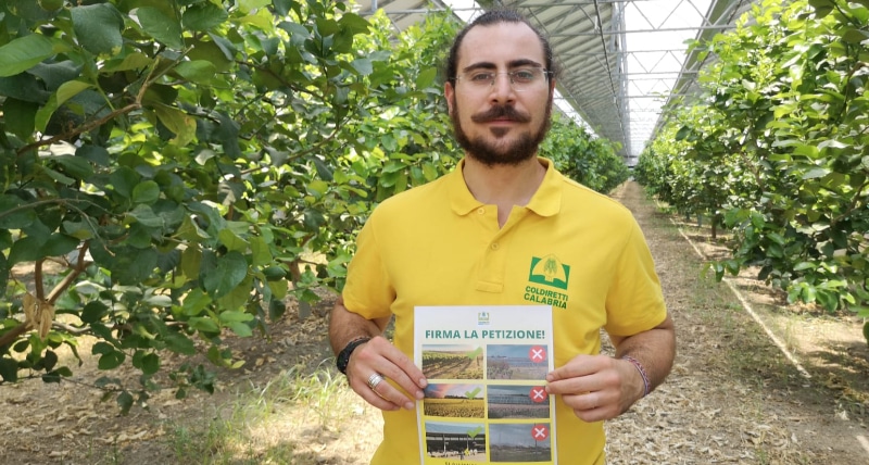 Coldiretti Calabria clima_ i giovani agricoltori calabresi lanciano la petizione contro i pannelli mangia suolo