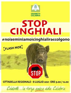locandina flash mob cinghiali
