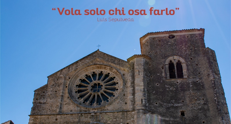 Al Festival Euromediterraneo di Altomonte 2021 “Vola solo chi osa farlo”