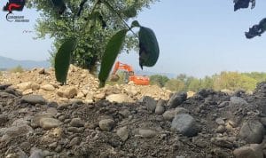 CC Forestale di Montalto e San Pietro in Guarano arrestate due persone per furto di inerti