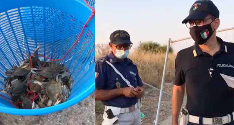 Cassano _ stop alla pesca illegale di Granchi nel canale degli Stombi