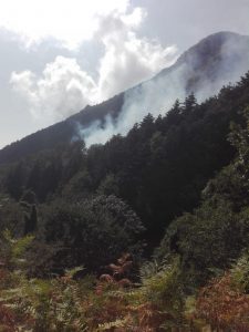 Il Monte Cocuzzo brucia, il sindaco di Mendicino_ _Siate maledetti_ 2