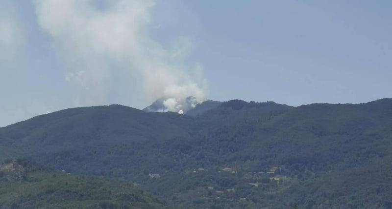 Il Monte Cocuzzo brucia, il sindaco di Mendicino_ _Siate maledetti_