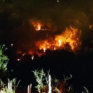 Incendio Petilia Policastro