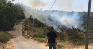 Vasto incendio nella zona montana di Rossano_ in azione canadair, vigili del fuoco e Calabria verde