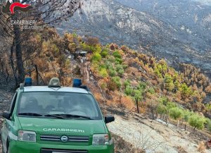 Individuato e denunciato il responsabile del vasto incendio che ha interessato il territorio di Albidona a fine agosto. 2