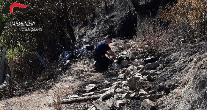 Individuato e denunciato il responsabile del vasto incendio che ha interessato il territorio di Albidona a fine agosto.