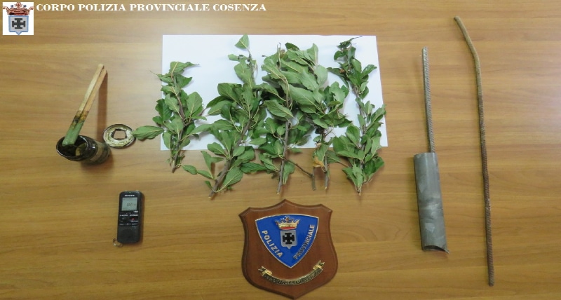 Lotta al bracconaggio_ beccato uccellatore di cardellini alla periferia di S. Giovanni in Fiore