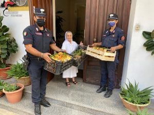 Sequestrati oltre 70 kg di funghi epigei a Montalto Uffugo, numerose sanzioni