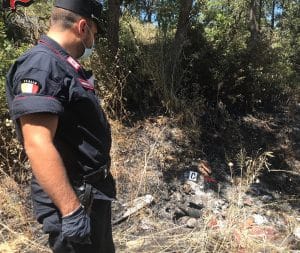 Terravecchia, cinque persone denunciate dai Carabinieri Forestale
