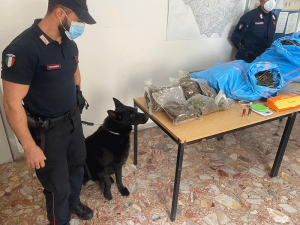 Cetraro, due arresti per detenzione di un elevato quantitativo di droga