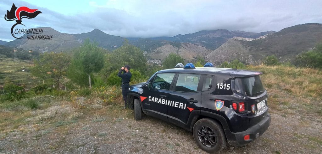 Controlli dei Carabinieri Forestali nei Comuni di Tortora e Aieta