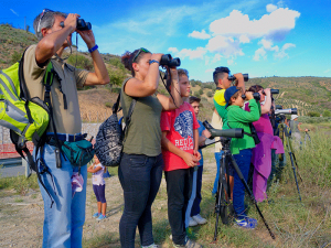 Lipu Rende, birdwatching in Calabria domenica 3 ottobre