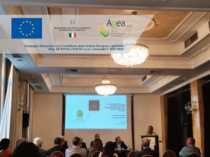 Nasce il Consorzio Calabria-Lazio-Sardegna a tutela dell'olivicoltura di qualità