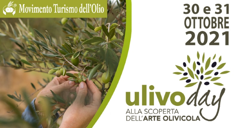 Ulivo Day_ in Calabria turismo esperienziale e valorizzazione del territorio
