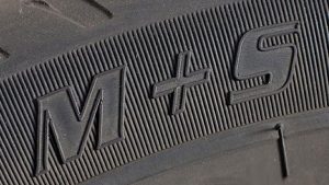 ms-e-fiocco-di-neve-1024x576