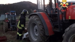 Aprigliano, 25enne travolta e uccisa dal trattore guidato dal padre