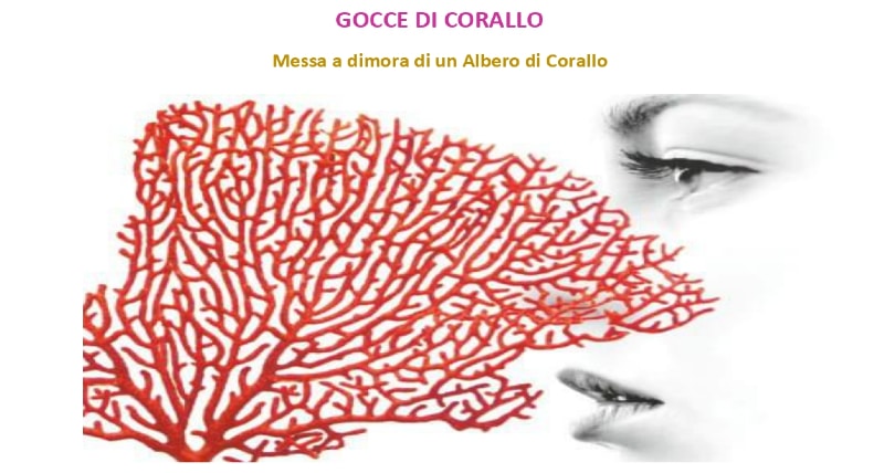 Santo Stefano di Rogliano, 'Gocce di corallo'_ manifestazione per ricordare le donne vittime di violenza