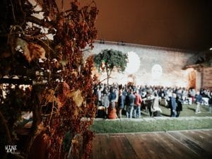 Successo e qualità alla terza edizione del WineArt Festival al Castello Svevo di Cosenza. 2