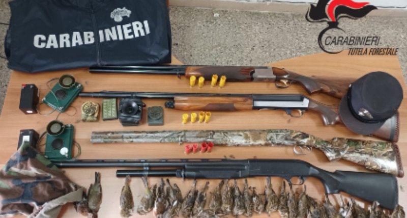 Terranova da Sibari_ cacciavano avifauna protetta con richiami acustici vietati, denunciati