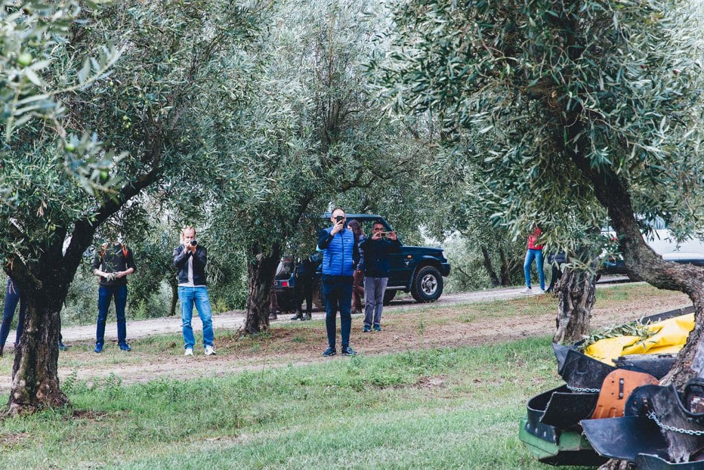 ULIVO_DAY_CALABRIA_5
