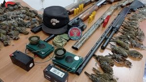 cc forestale castrovillari 1