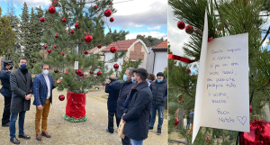 Aprigliano, addobbato Albero della Memoria in ricordo dei defunti