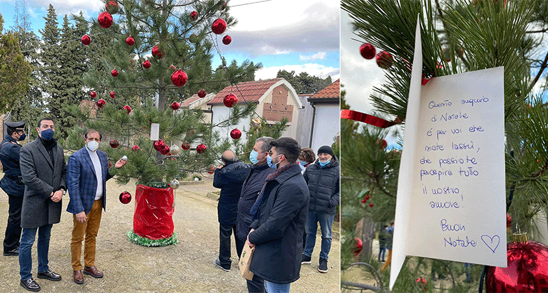 Aprigliano, addobbato Albero della Memoria in ricordo dei defunti