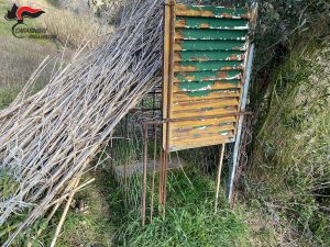 Montalto Uffugo Sequestrata trappola illegale per cattura di animali selvatici 2