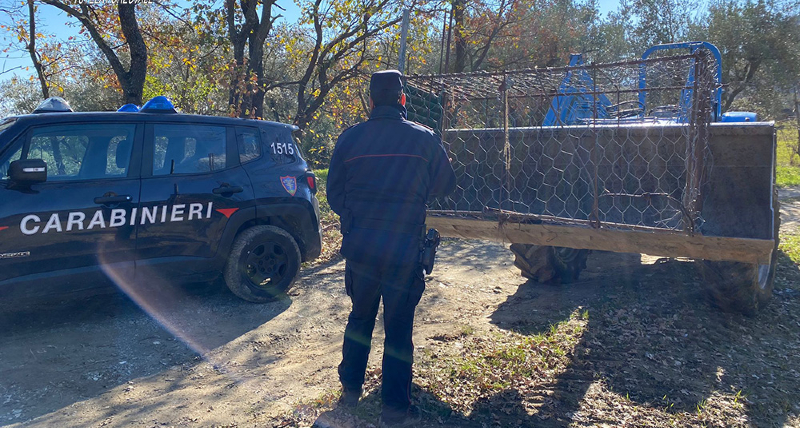 Montalto Uffugo Sequestrata trappola illegale per cattura di animali selvatici