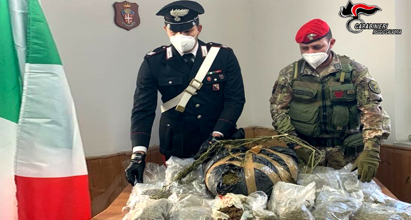 San Giovanni di Gerace RC rinvenuti quasi 8 Kg di Marijuana