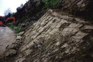 frana Pantano Diodato - 4