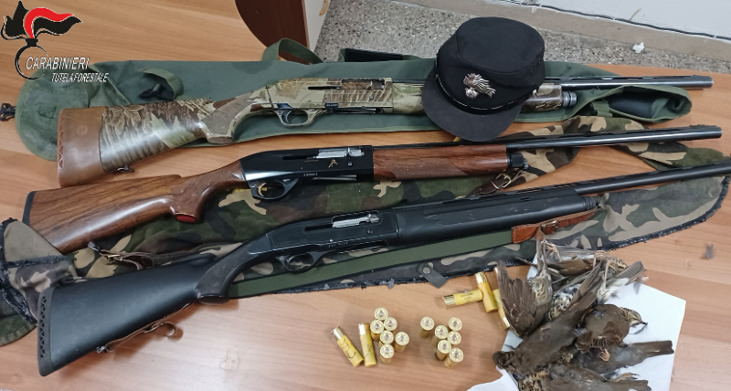 Altomonte, caccia a specie in periodo non consentito. Denunciati tre cacciatori