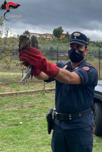 Carabinieri Forestale, il bilancio di un anno di attività al servizio dell’ambiente (2)