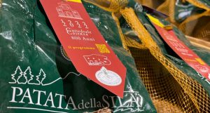 Collaborazione tra consorzio PPAS e diocesi Cosenza-Bisignano per eventi della Cattedrale