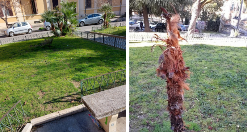 Cosenza, atti di vandalismo in in Piazza Skanderbeg l'amarezza dell'Assessore Sconosciuto