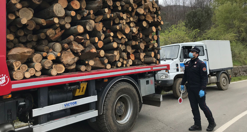 Positivo il bilancio 2021 dei Carabinieri Forestale di Cosenza