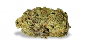 Dove comprare il CBD e come assumerlo?