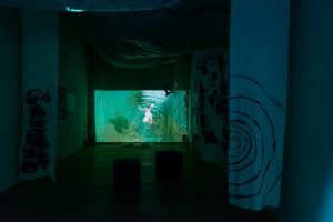 video installazione in mostra