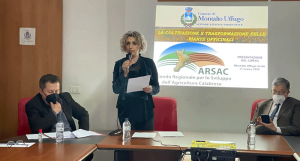 Montalto, l'Assessorato alle Attività Produttive presenta il corso sulle piante officinali