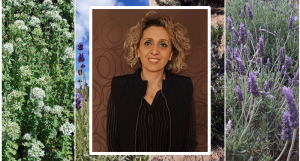 Rosj Wallì Costanzo, Assessore alle Attività Produtive del Comune di Montalto Uffugo