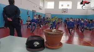 Castrovillari, Carabinieri Forestale portano l'albero di Falcone nelle scuole