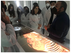 Il tutor dr Rocco Malivindi e gli studenti del corso di Laurea Magistrale in Medicina-Chirurgia e Tecnologie Digitali dell’Unical al tavolo anatomico 3D
