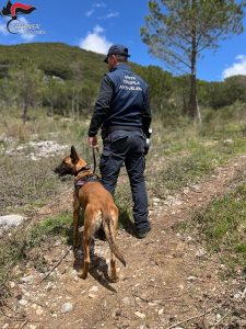 Unità cinofile antiveleno Calabria