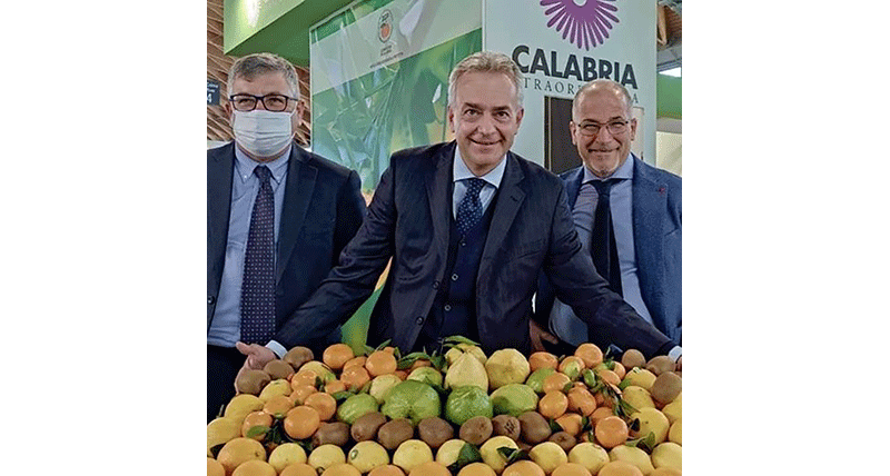 Il cedro di Santa Maria del Cedro vola a Bruxelles
