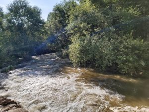 Rende, trekking di idee il 22 maggio per salvare il fiume Crati