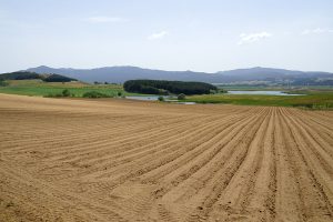 Sila Experience