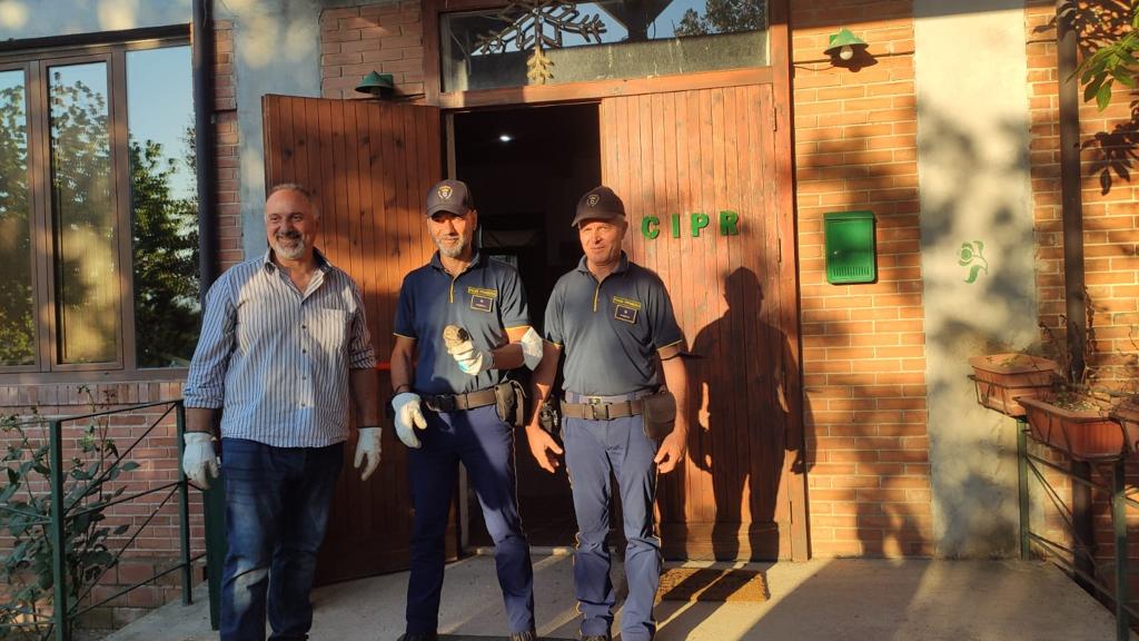 Grazie al CRAS e alla Polizia Provinciale, spiccano nuovamente il volo diversi rapaci