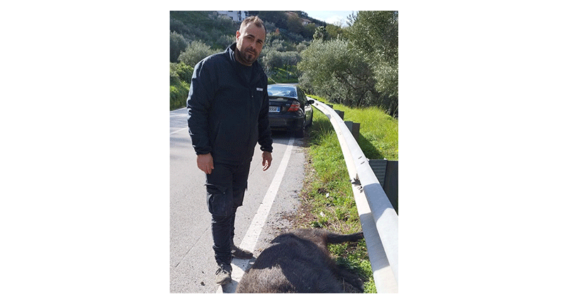 Nella foto il presidente dell'A.R.C., Vincenzo Barbatano, mentre soccorre un'automobilista che ha distrutto il frontale della sua auto